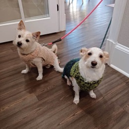 Instagram post from @residencesoldcarolina on November 14, 2023 00:00:00am