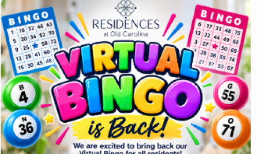 Virtual Bingo Cover Image